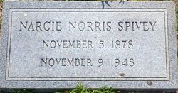 Narcissa Carsette “Narcie” <I>Norris</I> Spivey 