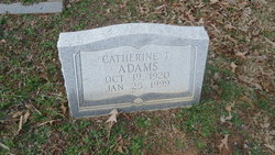 Catherine T Adams 