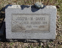 Joseph M. Danyi 