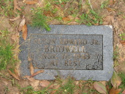 Alton Edward Birdwell Jr.