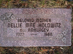 Nellie M <I>Amburgey</I> Holowitz 