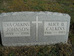 Eva Glenideen <I>Calkins</I> Johnson 