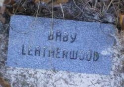 Baby Leatherwood 
