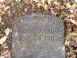 Alie Brewer 