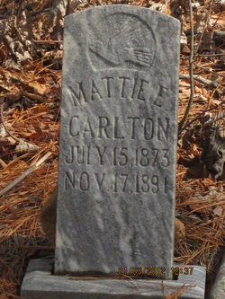 Mattie E Carlton 