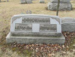Tryphena <I>Sonnadecker</I> Brickman 