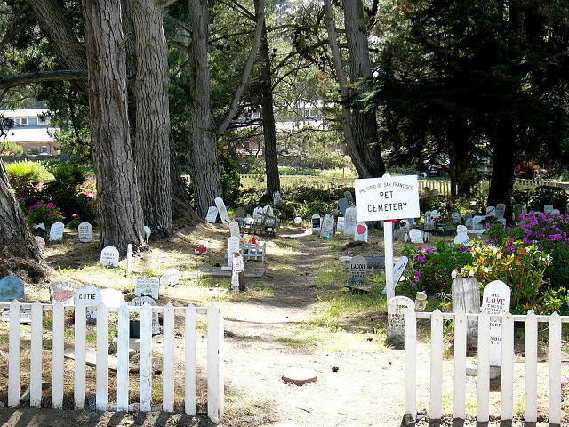 Presidio of San Francisco Pet Cemetery