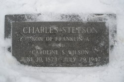 Charles Stetson Wilson 