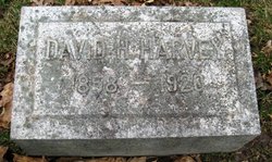David Henderson Harvey Jr.