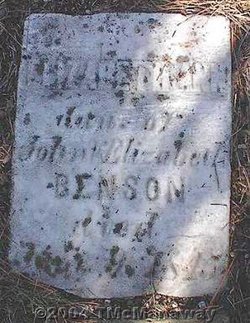 Elizabeth Ann Benson 