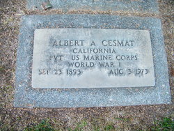 Albert Alexander Cesmat 