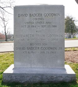 David Badger Goodwin Jr.