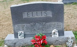 William Thomas Ellis 