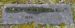 Robert Woodward Barnwell Elliott 