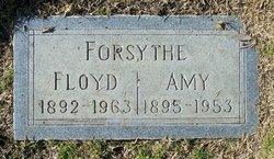 Amy Ellen <I>Davis</I> Forsythe 