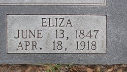 Frances Elizabeth “Eliza” <I>Dial</I> Ashworth 