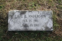 Carl E Anderson 