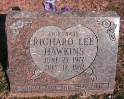 Richard L. Hawkins 