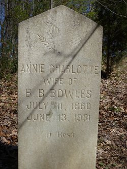 Annie Charlotte <I>Stephens</I> Bowles 