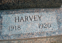 Harvey W Lueloff 