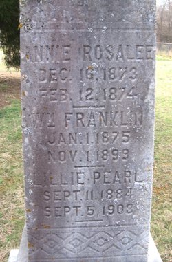 Annie Rosalee Anderson 