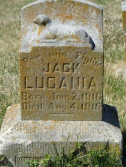 Jack Lucania 
