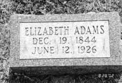 Elizabeth Ann <I>Ashby</I> Adams 