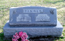 David Tingle 