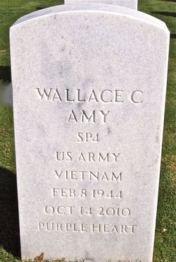 Wallace C Amy 