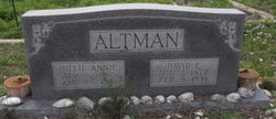 David Ebenezer Altman 