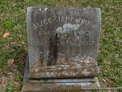 Alice Jane Drew 