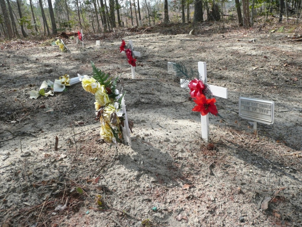 Lee Family Graveyard