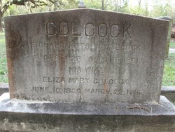 Richard Hutson Colcock 