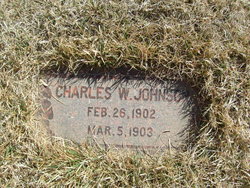 Charles W Johnson 