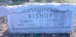 Robert Bishop 