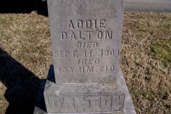 Addie Dalton 