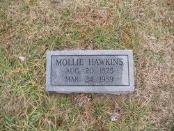 Mary I “Mollie” <I>Coffey</I> Hawkins 
