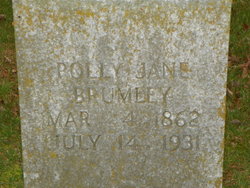 Polly Jane <I>Lewis</I> Brumley 