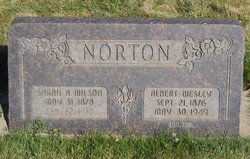 Sarah Ann <I>Wilson</I> Norton 