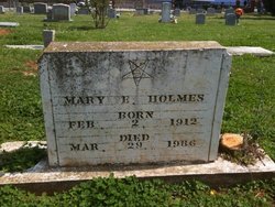 Mary E Holmes 