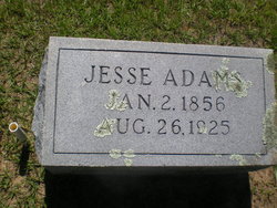 Jesse S Adams 