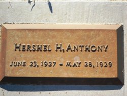 Hershel H Anthony 
