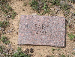 Baby Gamel 