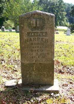 Jasper Harper 