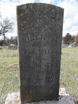 Willie A. Shelton 