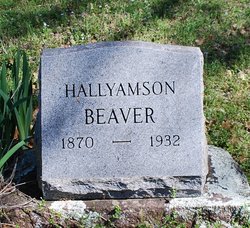 Hallyamson Beaver 