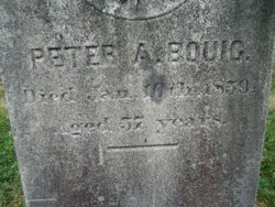 Peter Allan Bouic 