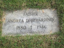 Andrea D. Berardino 