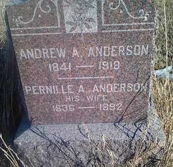 Andrew A Anderson 