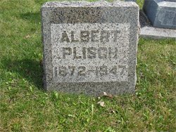 Albert Plisch 